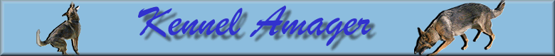 Kennel Amager.